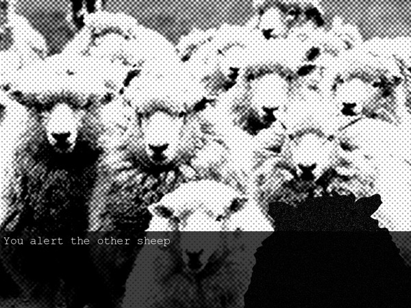 Ewe of the Falklands screenshot